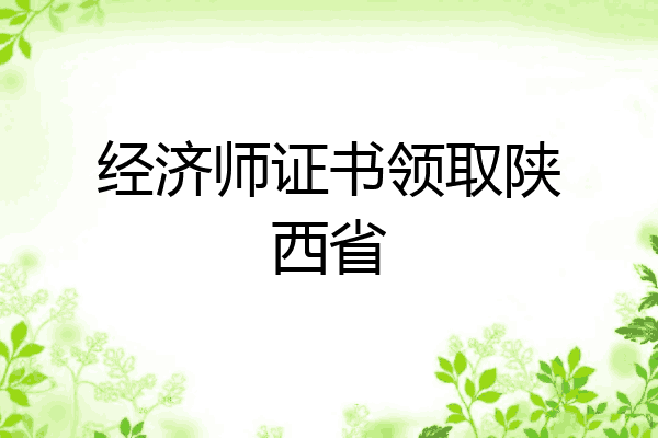 经济师证书领取陕西省