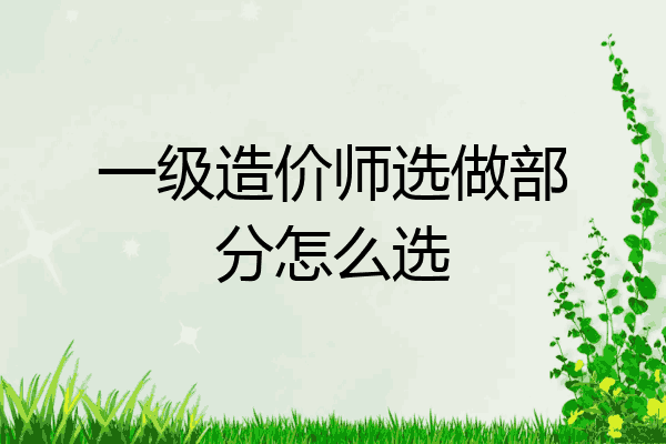 一级造价师选做部分怎么选