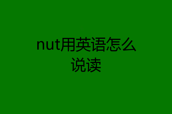 nut用英语怎么说读