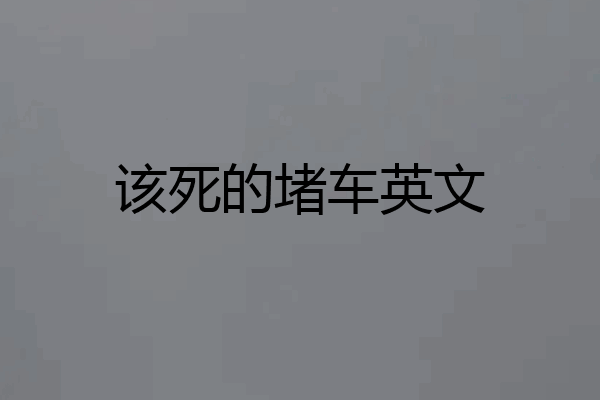 该死的堵车英文