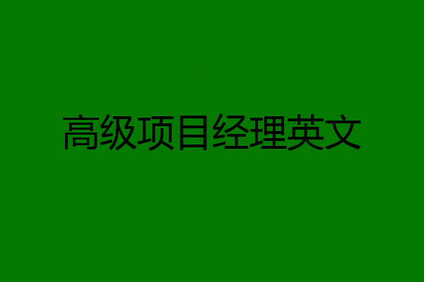 高级项目经理英文