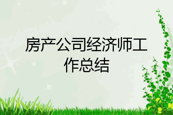 房产公司经济师工作总结