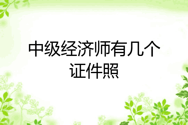 中级经济师有几个证件照