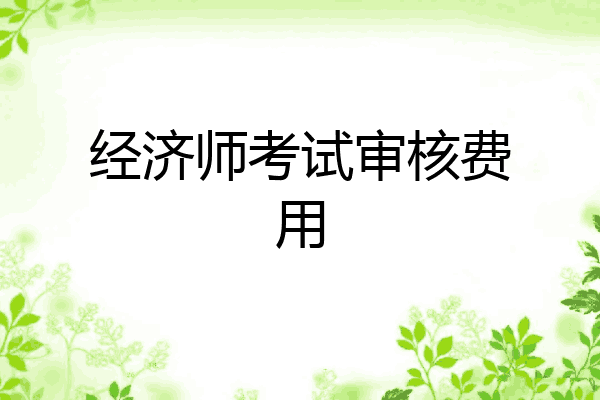 经济师考试审核费用