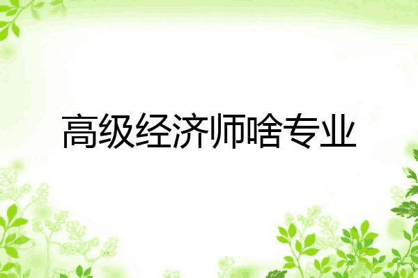 高级经济师啥专业