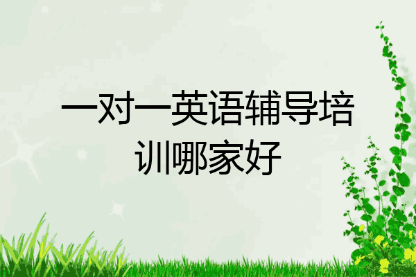 一对一英语辅导培训哪家好