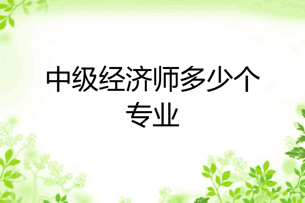 中级经济师多少个专业