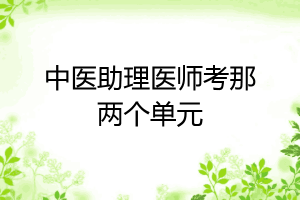 中医助理医师考那两个单元