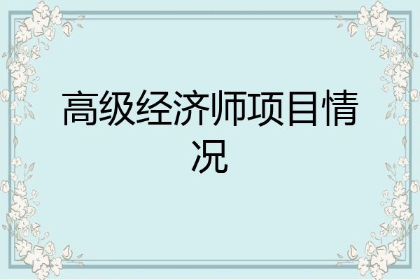 高级经济师项目情况