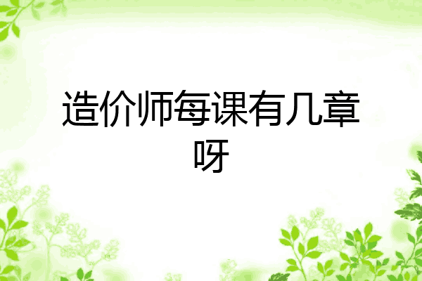造价师每课有几章呀