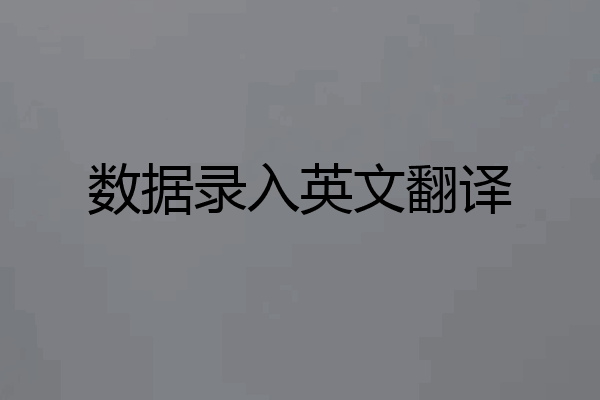数据录入英文翻译