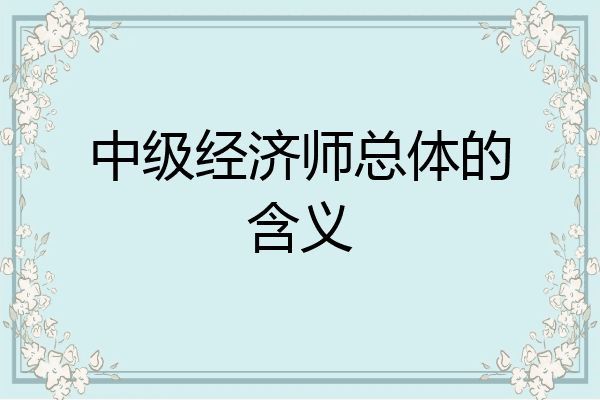 中级经济师总体的含义