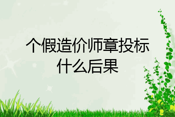 个假造价师章投标什么后果