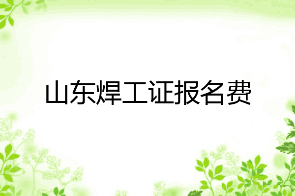 山东焊工证报名费