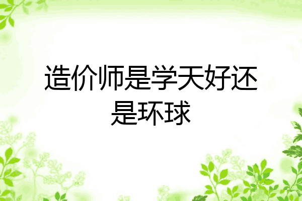 造价师是学天好还是环球