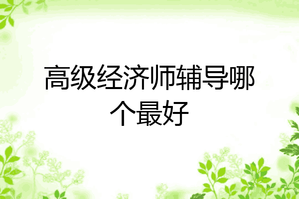高级经济师辅导哪个最好
