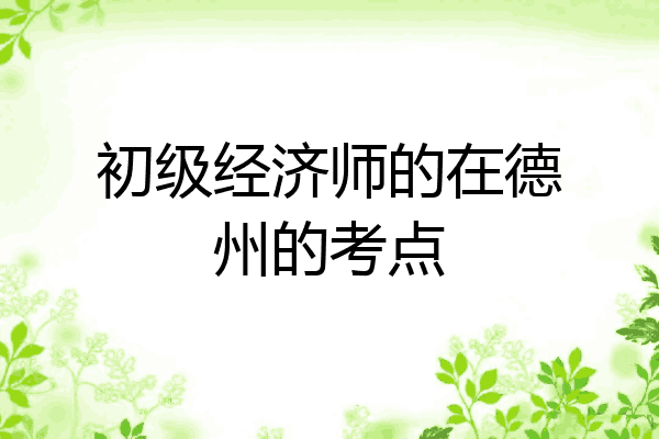 初级经济师的在德州的考点