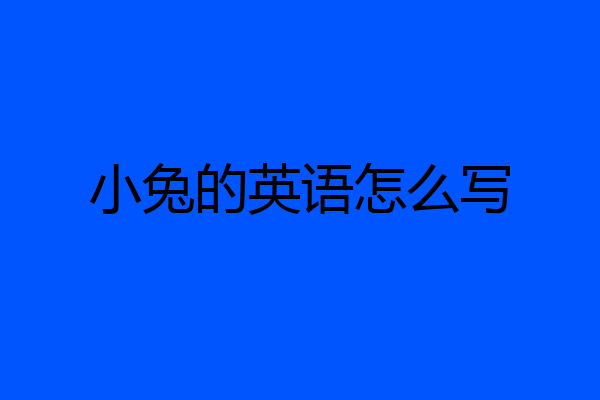 小兔的英语怎么写