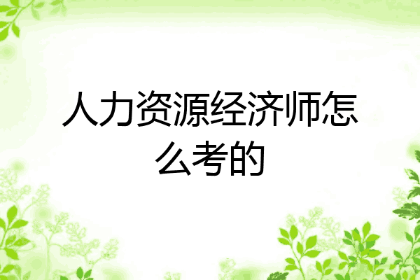 人力资源经济师怎么考的