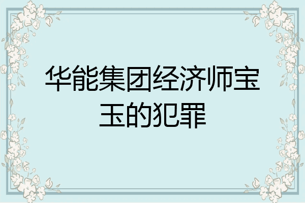 华能集团经济师宝玉的犯罪