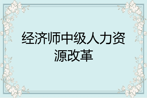 经济师中级人力资源改革