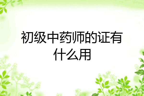 初级中药师的证有什么用