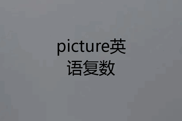 picture英语复数