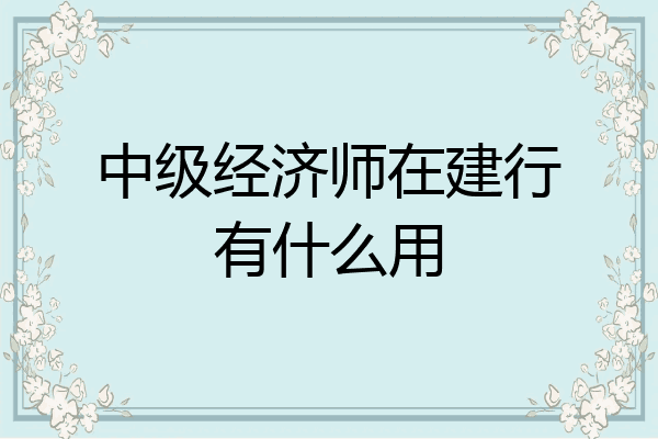 中级经济师在建行有什么用