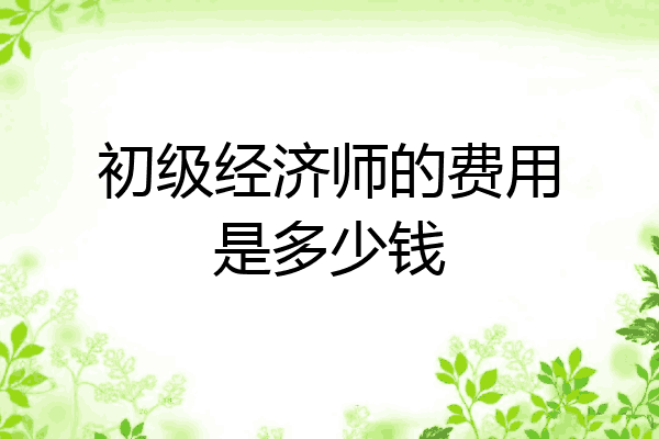 初级经济师的费用是多少钱