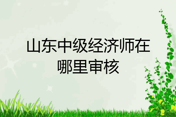 山东中级经济师在哪里审核