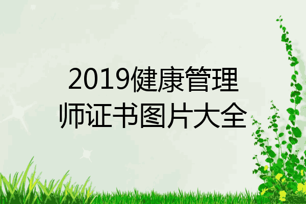 2019健康管理师证书图片大全