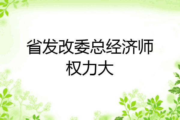 省发改委总经济师权力大