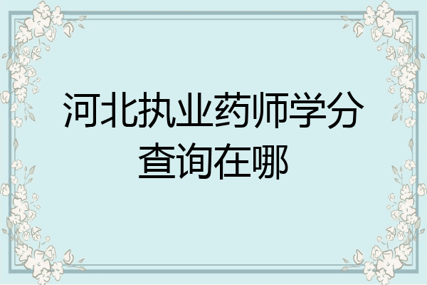 河北执业药师学分查询在哪