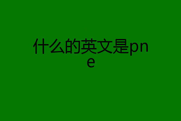 什么的英文是pne