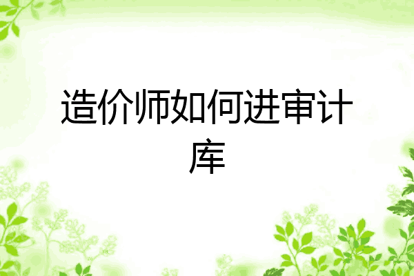 造价师如何进审计库
