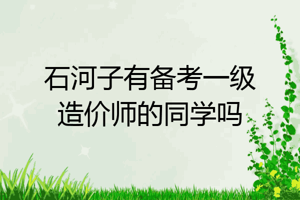 石河子有备考一级造价师的同学吗