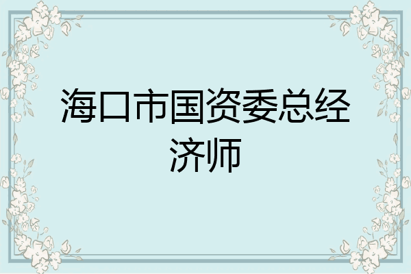 海口市国资委总经济师