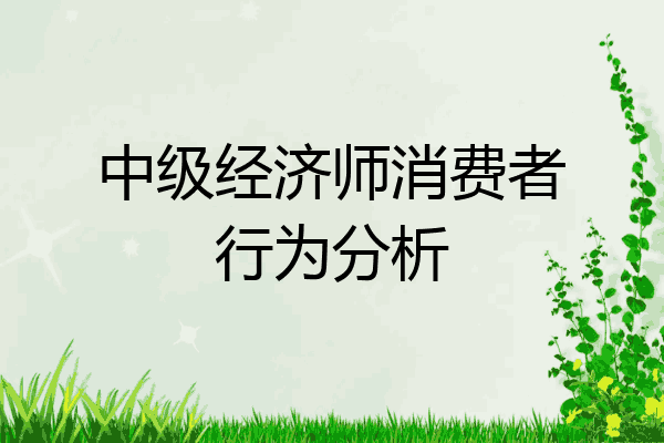 中级经济师消费者行为分析
