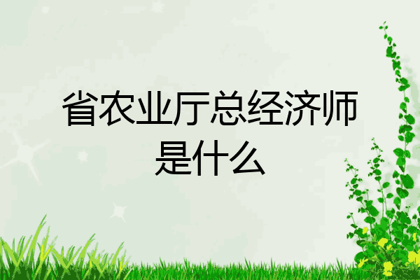 省农业厅总经济师是什么