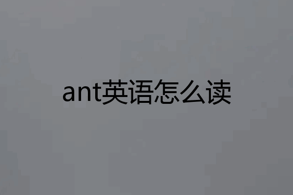 ant英语怎么读