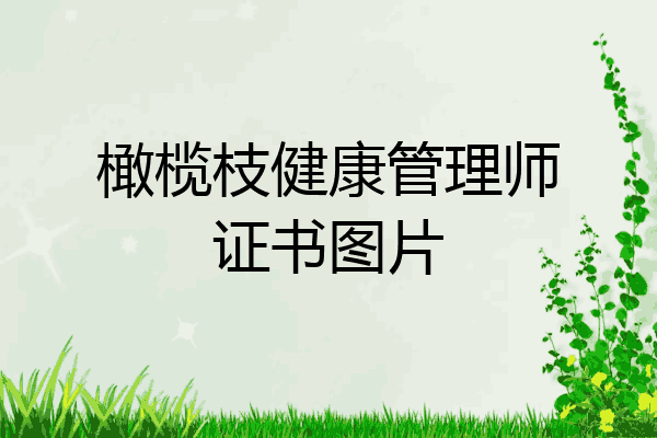 橄榄枝健康管理师证书图片