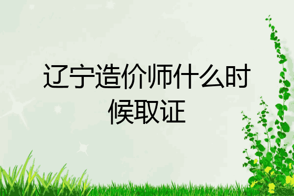 辽宁造价师什么时候取证
