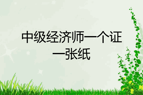 中级经济师一个证一张纸