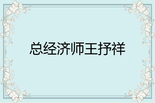 总经济师王抒祥