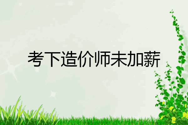 考下造价师未加薪
