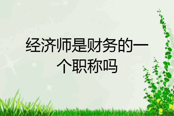 经济师是财务的一个职称吗