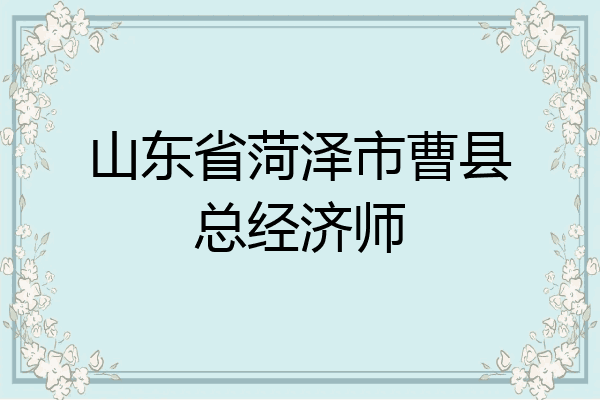 山东省菏泽市曹县总经济师
