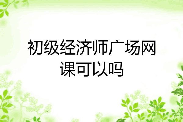 初级经济师广场网课可以吗