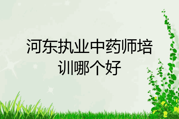 河东执业中药师培训哪个好