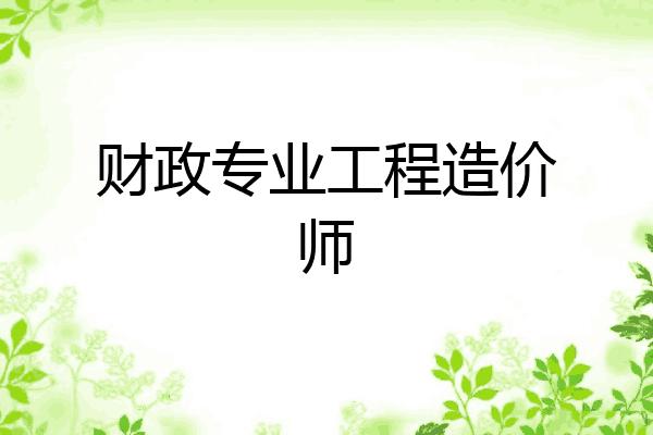 财政专业工程造价师